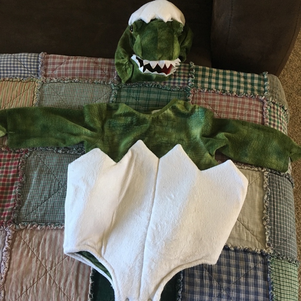 Dinosaur costume